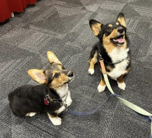 470191623 1033017755534949 2682902844144917996 N